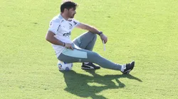 Foto: César Greco/ Palmeiras