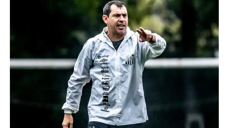 Foto: Ivan Storti/Santos FC/Divulgação - Carille: técnico do Santos tem interesse em defensor do Grêmio