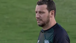 Foto: Rebeca Reis/AGIF - Elano: inspiração para jovem meia do Santos