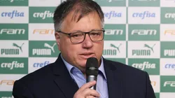 Foto: Cesar Greco - Sociedade Esportiva Palmeiras