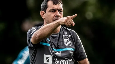 Foto: Ivan Storti/Santos FC/Divulgação – Carille: no aguardo de reforços no Santos para 2022