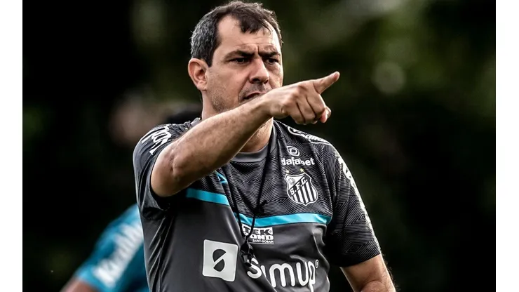Foto: Ivan Storti/Santos FC/Divulgação - Carille: no aguardo de reforços no Santos para 2022