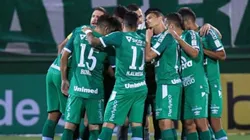 Marcio Cunha/AGIF - Chapecoense é o melhor clube entre os catarinenses