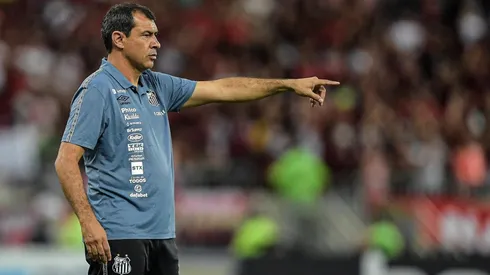 Foto: Thiago Ribeiro/AGIF - Fabio Carille técnico do Santos