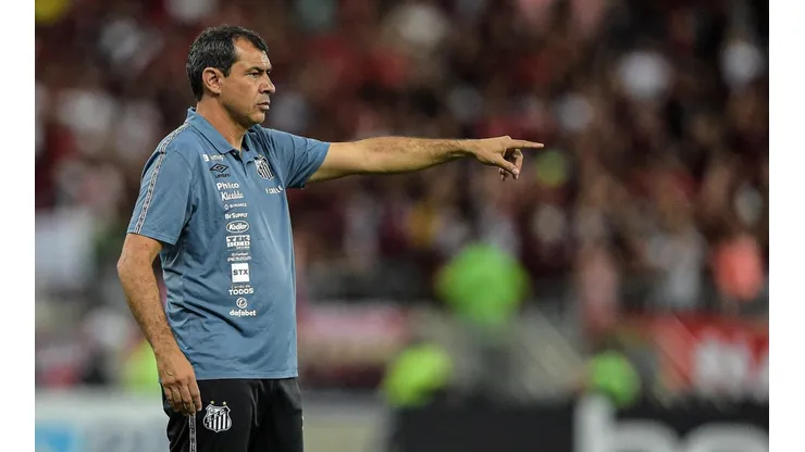 Foto: Thiago Ribeiro/AGIF - Fabio Carille técnico do Santos