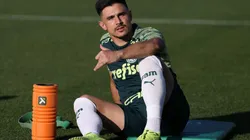 Foto: Cesar Greco/Palmeiras/Divulgação - Willian "Bigode": deve ser anunciado em breve pelo Fluminense