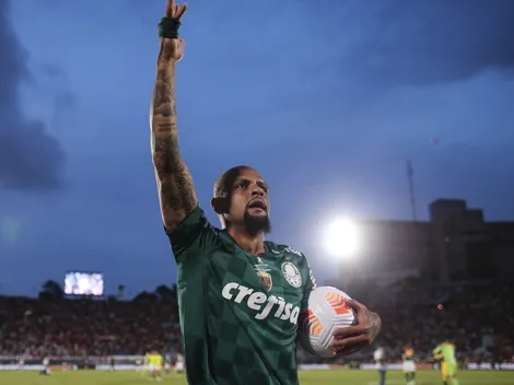 ''Pitbull cachorro louco'': veja os números de Felipe Melo com a camisa do Palmeiras