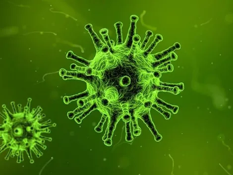 Bahia confirma primeira morte pelo vírus influenza A H3N2