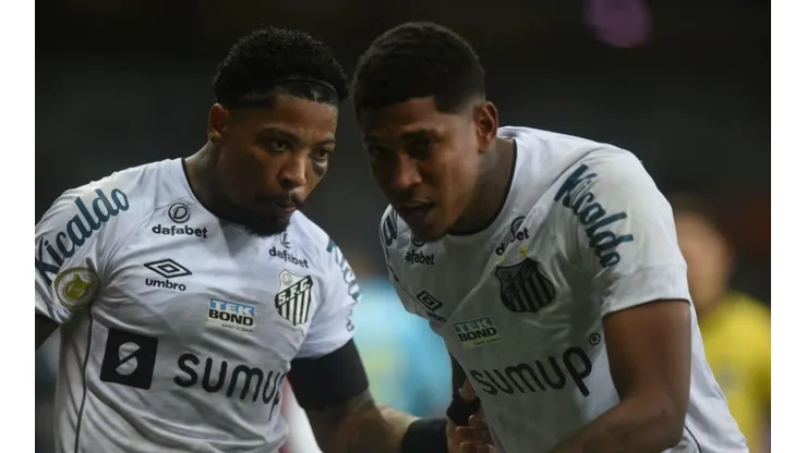 Foto: Ivan Storti/Santos FC - Raniel ao lado de Marinho