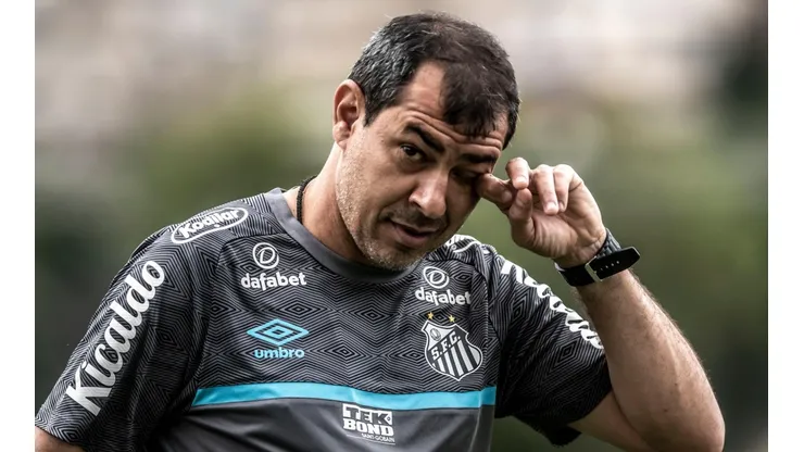 Foto: Ivan Storti/Santos FC
