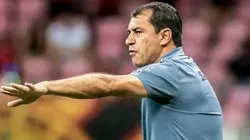 Foto: Ivan Storti/Santos FC - Carille está com moral no Peixe