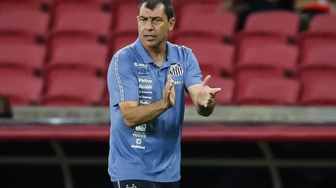 Foto: Pedro H. Tesch/AGIF - Fábio Carille técnico do Santos