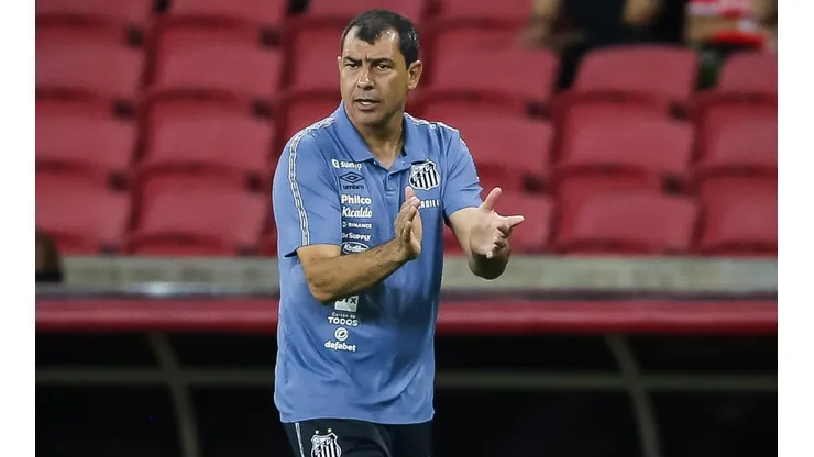 Foto: Pedro H. Tesch/AGIF - Fábio Carille técnico do Santos