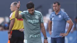 Foto: César Greco/ Palmeiras