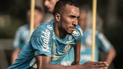 Foto: Ivan Storti/ Santos FC