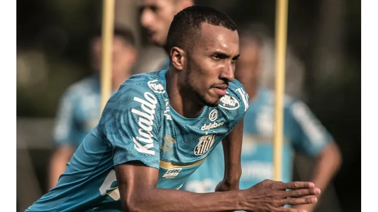 Foto: Ivan Storti/ Santos FC