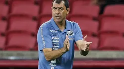 Foto: Pedro H. Tesch/AGIF - Carille: destacou as qualidades da jovem promessa santista