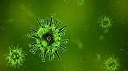 Foto: Pixabay - Foto ilustrativa de um vírus.