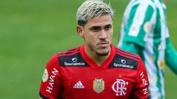 Foto: Pedro H. Tesch/AGIF - Pedro é sonho do Palmeiras para o Mundial.