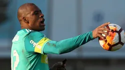 Foto: César Greco/ Palmeiras