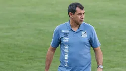 Foto: Luiz Erbes/AGIF - Fábio Carille, treinador do Santos