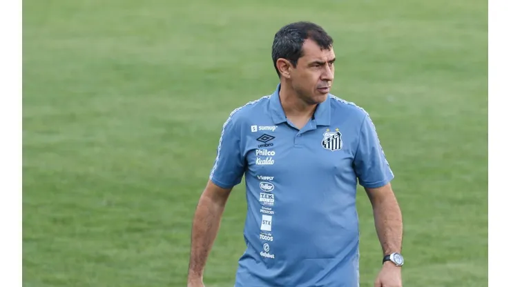Foto: Luiz Erbes/AGIF - Fábio Carille, treinador do Santos
