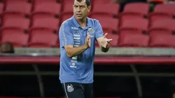 Pedro H. Tesch/AGIF - Fábio Carille, técnico do Santos