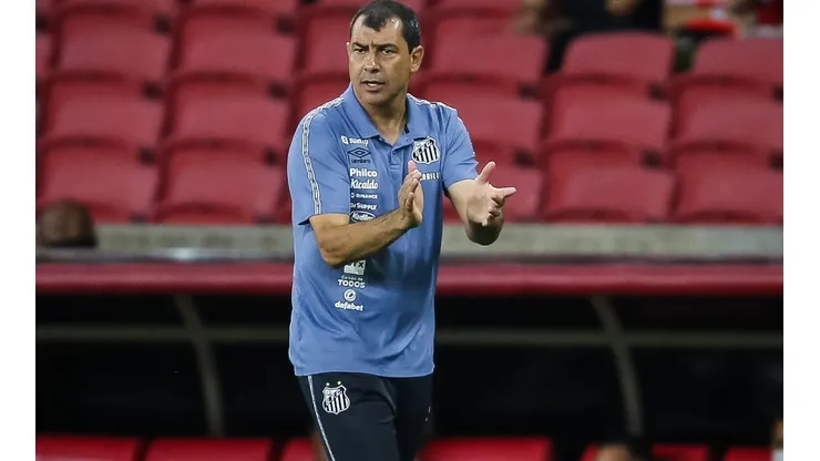 Pedro H. Tesch/AGIF - Fábio Carille, técnico do Santos