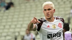 Foto: Kely Pereira/AGIF - Ex-jogador dedura que Pedro pode pintar no Palmeiras em 2022