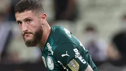Foto: Cesar Greco - Sociedade Esportiva Palmeiras