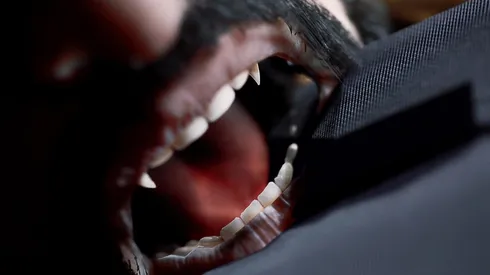 Vampire: The Masquerade - Swansong é adiado para maio de 2022