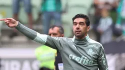 Foto: Cesar Greco/Palmeiras/Divulgação - Abel Ferreira: valorizado no mercado da bola