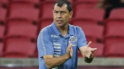 Foto: (Pedro H. Tesch/AGIF) - Fábio Carille rasgou elogios a jovem promessa do Santos