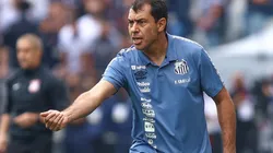 Foto: Marcello Zambrana/AGIF - Carille, treinador do Santos