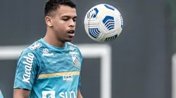 Foto: Ivan Storti/ Santos FC
