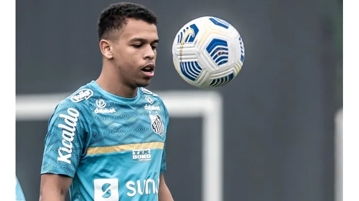 Foto: Ivan Storti/ Santos FC