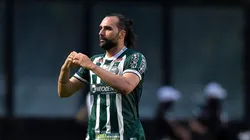 Foto: Thiago Ribeiro/AGIF - Léo Gamalho mira artilharia da Série B do Brasileirão