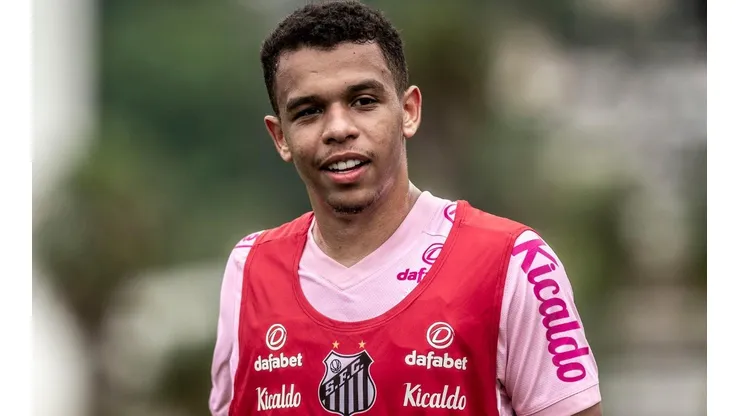 Foto: Ivan Storti/Santos FC