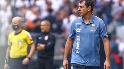 Marcello Zambrana/AGIF - Fábio Carille, técnico do Santos