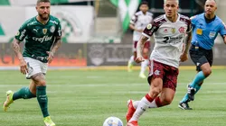 Palmeiras x Flamengo; prognósticos da decisão da Libertadores (Foto: Marcelo Cortes / Flamengo)