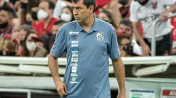 Foto: Robson Mafra/AGIF - Fábio Carille, treinador do Santos