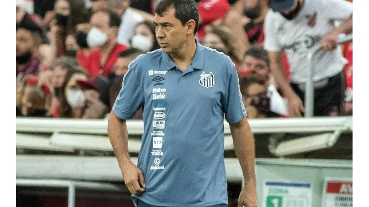 Foto: Robson Mafra/AGIF - Fábio Carille, treinador do Santos