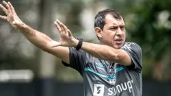 Foto: Ivan Storti/Santos FC