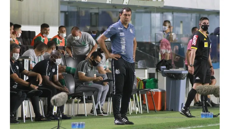 Carille na beira do campo acompanhou a vitória do Santos contra a Chape (Fernanda Luz/AGIF)