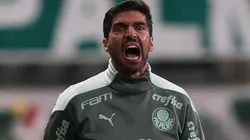 Foto: Cesar Greco/Palmeiras