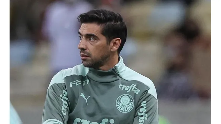 (Foto: Cesar Greco/Palmeiras/Flickr Oficial/
