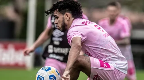 Foto: Ivan Storti/Santos FC