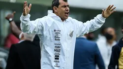 Fábio Carille, treinador do Santos (Foto: Getty Images)