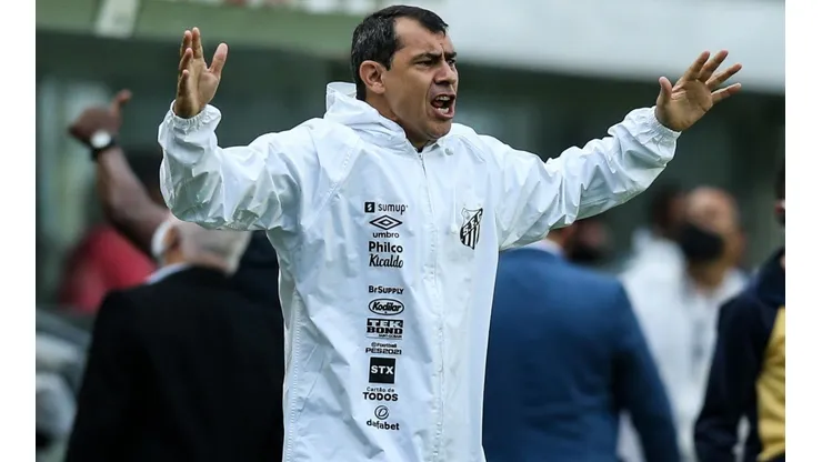 Fábio Carille, treinador do Santos (Foto: Getty Images)
