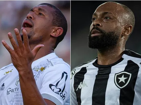 Ponte Preta x Botafogo: como assistir AO VIVO esse duelo do Brasileirão Série B
